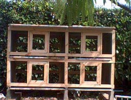 voliÃ¨res repro dÃ©part.jpg