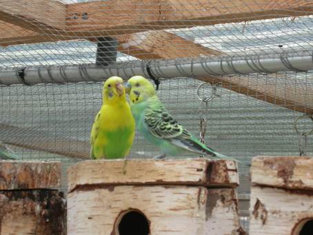 Resize of 2004-08-10_0065.JPG