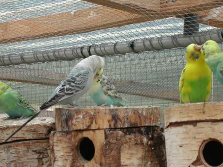 Resize of 2004-08-10_0064.JPG