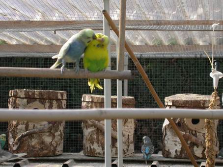 Resize of 2004-05-20_0046.JPG