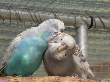 Resize of 2004-06-19_0088.JPG