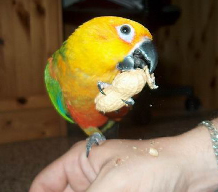 Resize of 13-08-20030050'.jpg