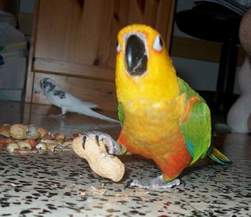 Resize of 13-08-20030046'_redimensionner.jpg