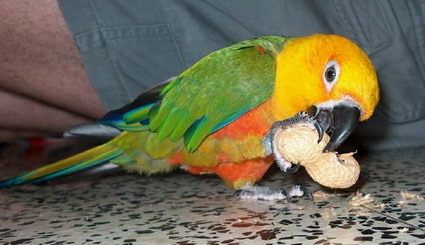 Resize of 13-08-20030045'_redimensionner.jpg