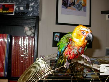 Resize of 2004-05-16_0006.JPG