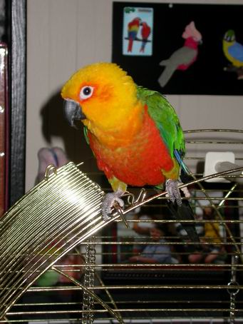 Resize of 2004-05-31_0059.JPG