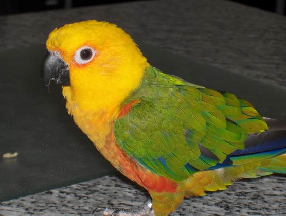 Resize of HPIM0051.JPG