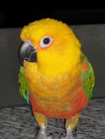 Resize of HPIM0047.JPG