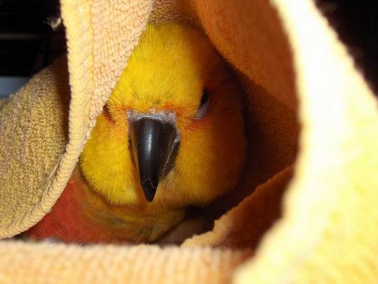 Resize of HPIM0178.JPG