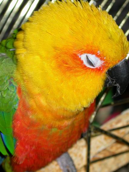 Resize of 2004-05-31_0065.JPG