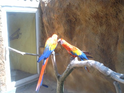 Arche de NoÃ©2.jpg