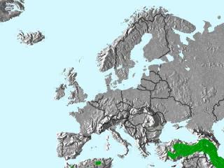 Distribution ailes roses.jpg