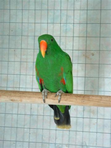 DSCF0006 (Small).JPG