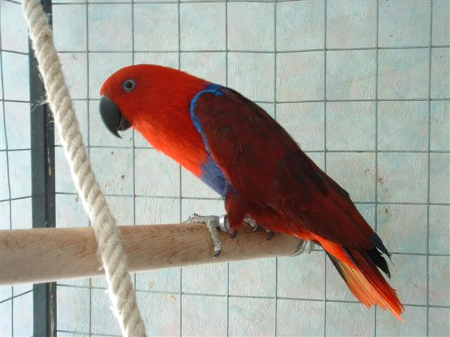 DSCF0012 (Small).JPG