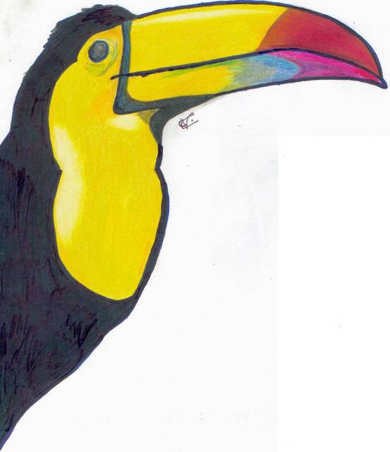 toucan.jpeg