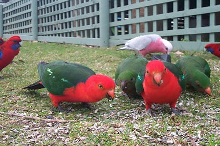 B, qu'est ce qu'ils veulent !!!.jpg