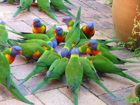 2 Y'en a partout !.jpg