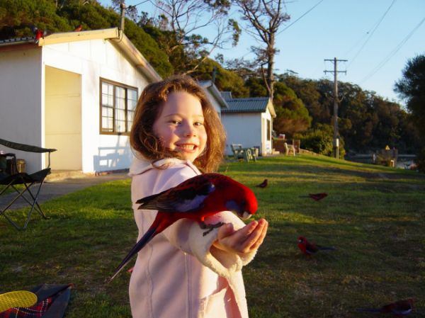 Petite fille et oiseaux.jpg