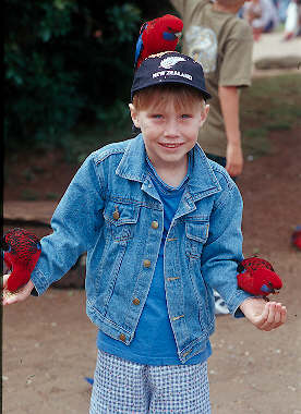 T'es cernÃ©e !.jpg