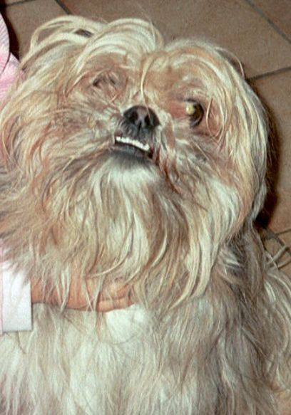 Microbe alias Kawet.jpg