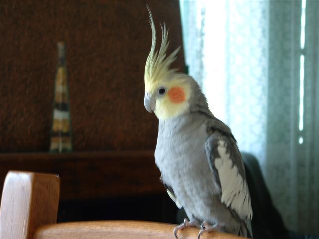 DSCF0055 (Small).JPG