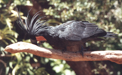 C'est bon les gars, j'en ai repÃ©rÃ© un !.jpg