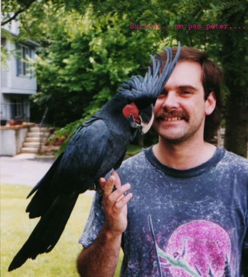 J'en ai trouvÃ© un beau chef !!!.jpg