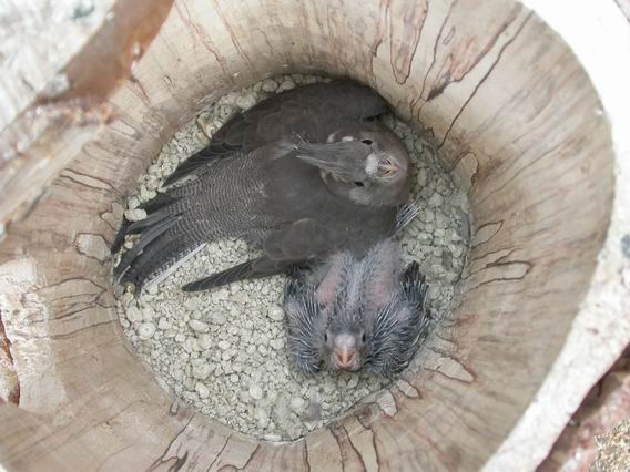 Resize of 2004-09-11_0016.JPG