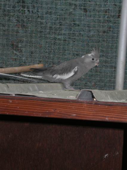 Resize of 2004-09-11_0013.JPG