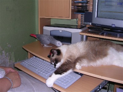 annive(rsaire 050.jpg