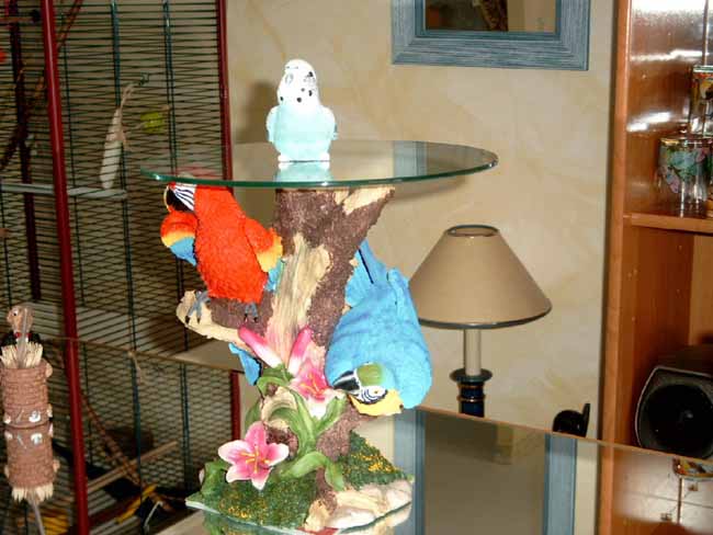 Tablette 2 Aras1.JPG