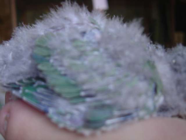 AILE BB ROSEICO 17 09.jpg