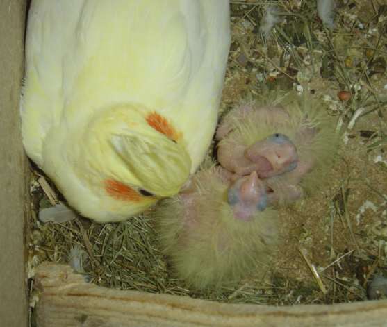 Calo 2 17 09 04 .jpg